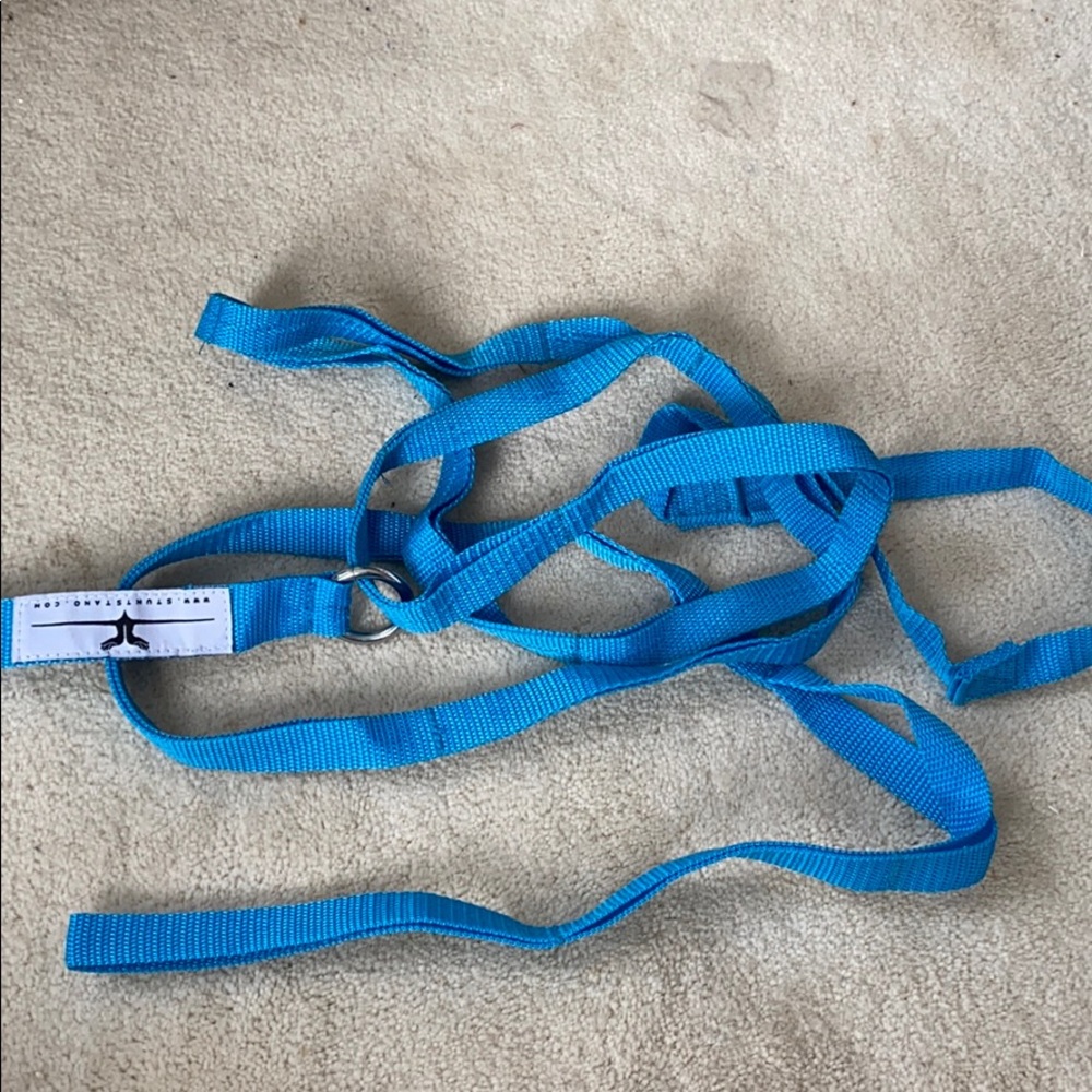 Blue Stunt Stand door leg stretcher
